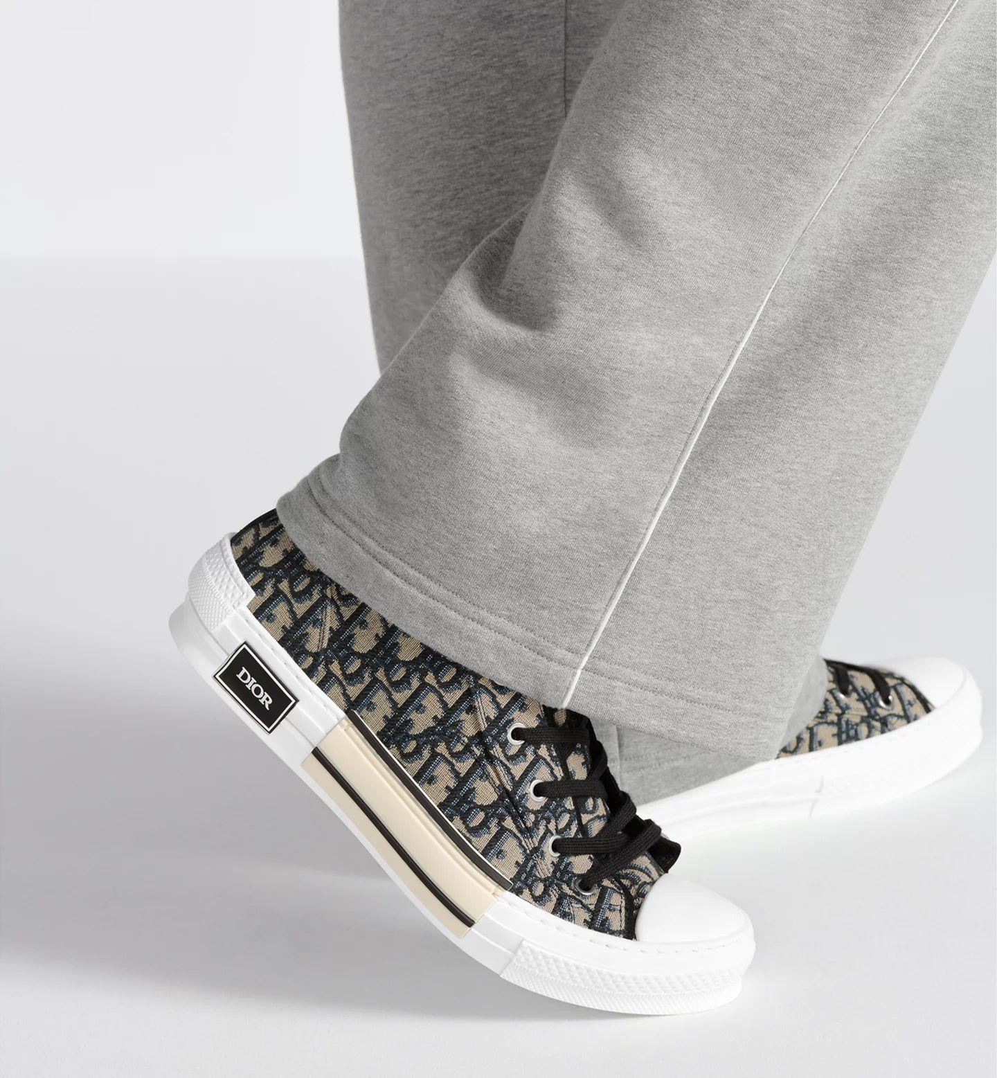 Dior B23 High-Top